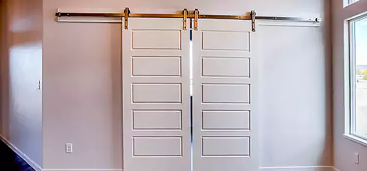 Glass Barn Door with Installation Hardware Kit Glen Avon